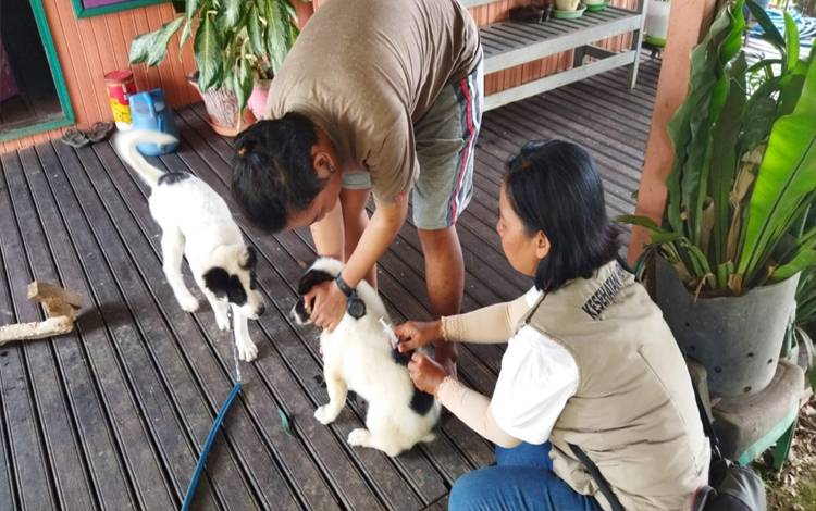 Kesadaran Warga Kapuas Vaksinasi Rabies Hewan Peliharaan Meningkat