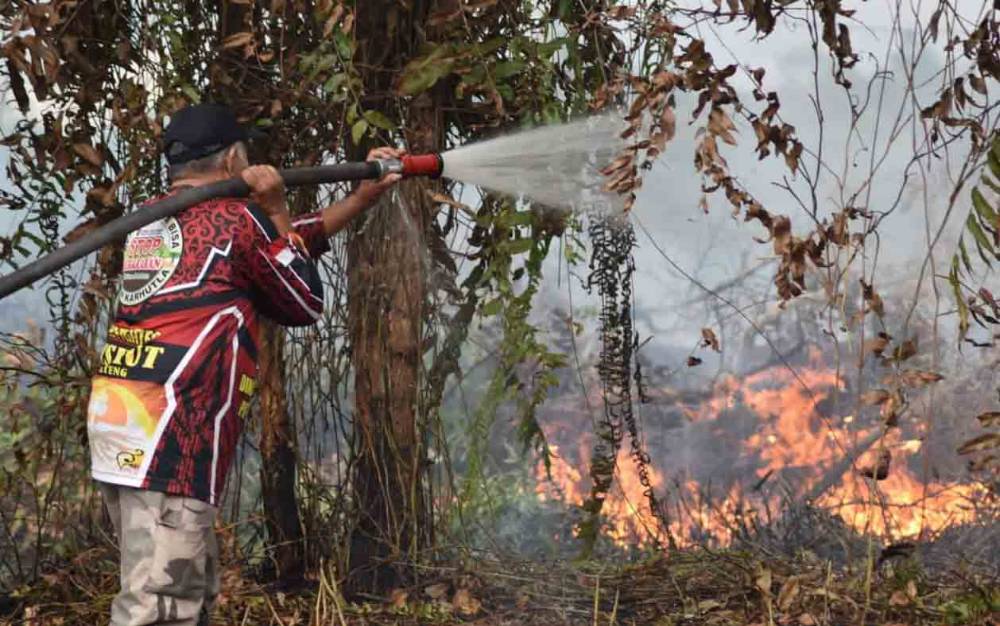 Tiga Hari, Lima Kejadian Karhutla Terjadi di Palangka Raya