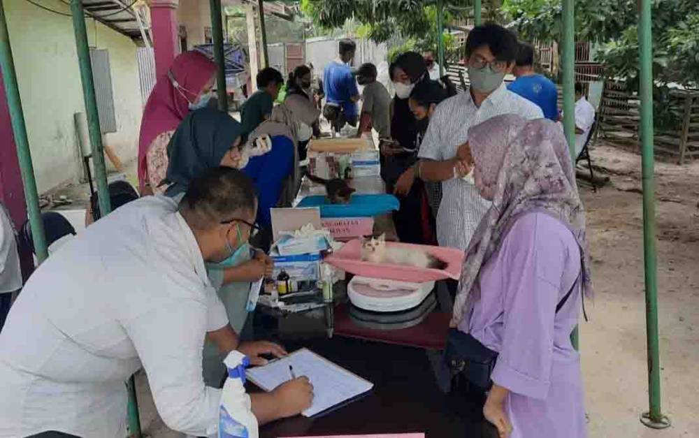 Masyarakat Diajak Turut Bantu Pencegahan Rabies