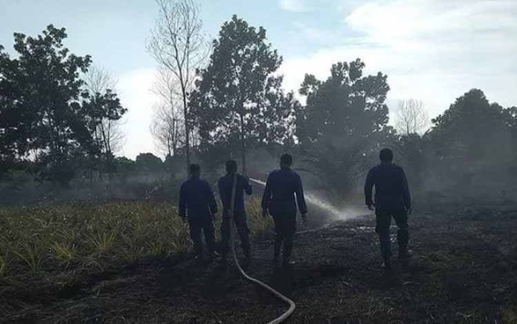 Titik Panas di Kotim Turut Meningkat Meski Banjir Masih Terjadi?