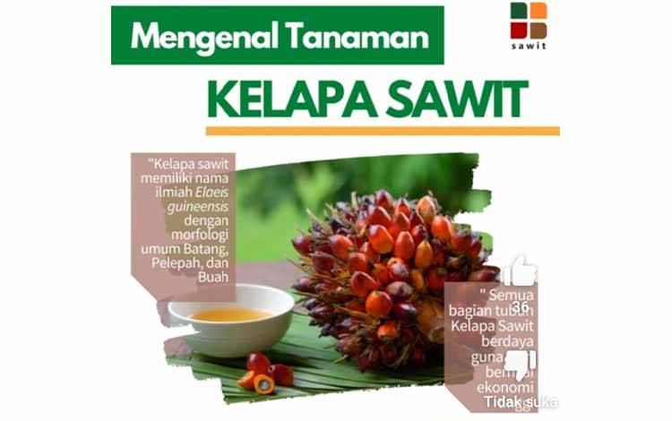 Kementerian Pertanian Punya Lima Program Terkait Hortikultura Indonesia