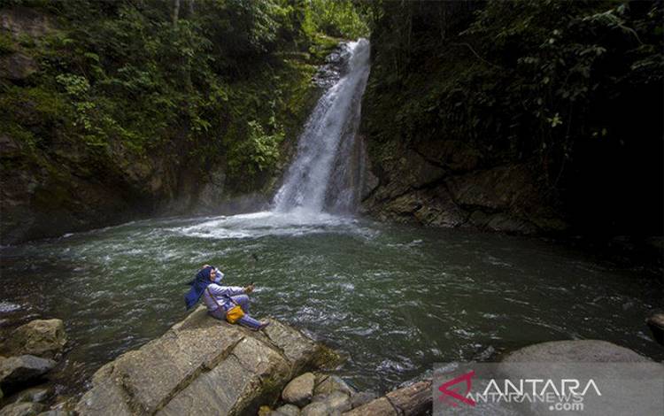 Menyelamatkan Meratus Dengan Konsep Taman Bumi