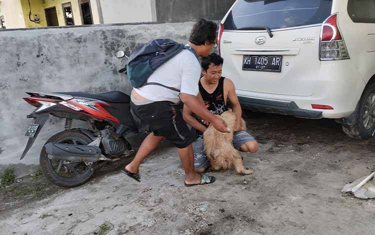 Masyarakat Urban Membawa HPR Diharapkan Melapor ke Dinas