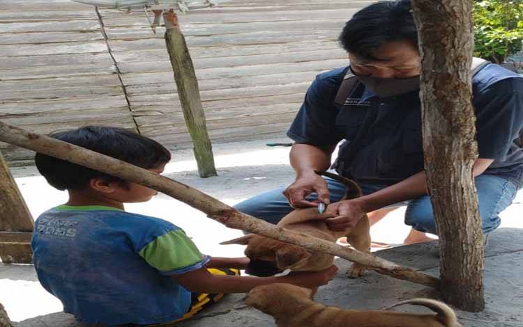 Penyakit Rabies Akibatkan 100 Persen Kematian