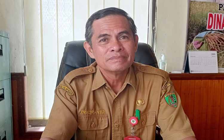 Dinas Pertanian Barito Timur Targetkan Luas Tanam Padi Musim Tanam Okmar 6.000 Hektare