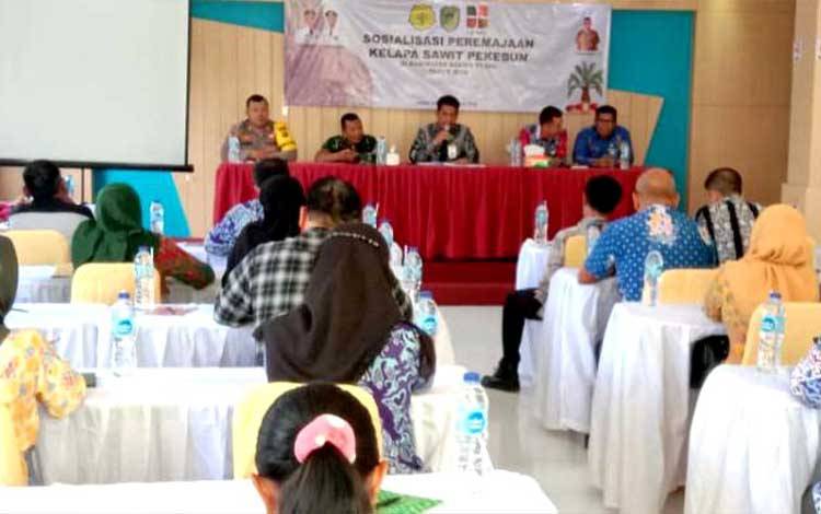 Tingkatkan Produktivitas Kelapa Sawit Melalui PSR