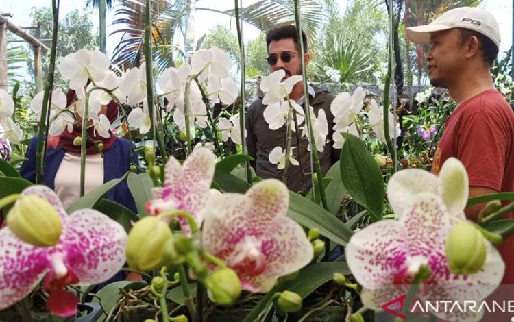 Kementan Meyakini Florikultura RI Mampu Kuasai Pasar Internasional