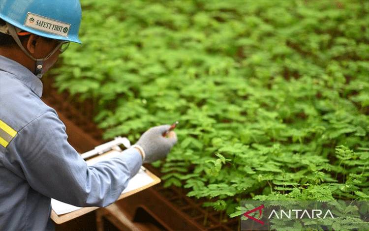 Komitmen MIND ID Menuju Pengurangan Emisi 15,8 Persen di 2030