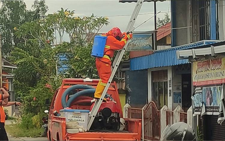 TRC BPBD Kapuas Evakuasi Sarang Tawon di Perumahan Warga