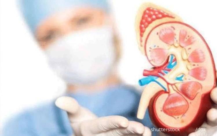Dokter: Monitor Minimal 14 Hari untuk Deteksi Gangguan Ginjal Akut