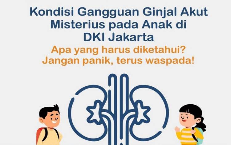 Enam Anak Meninggal Akibat Ginjal Akut Misterius