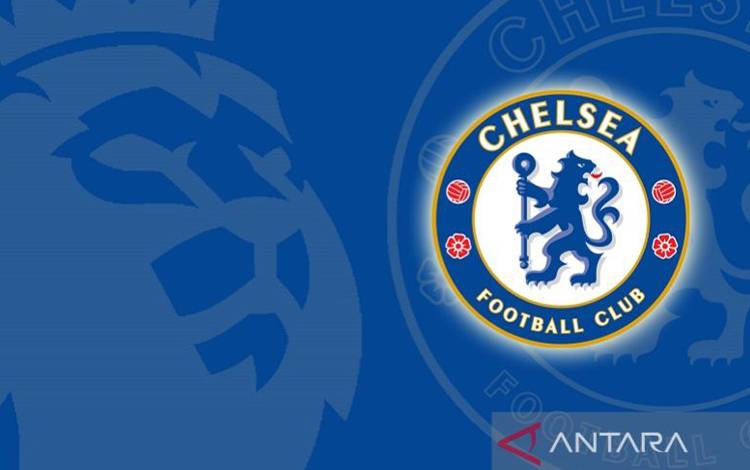Potter akui Brighton Tampil Lebih Baik Ketimbang Chelsea