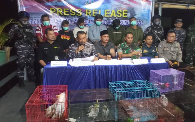 Lanal Banjarmasin Gagalkan Pengiriman Satwa Dilindungi di Perairan Kumai