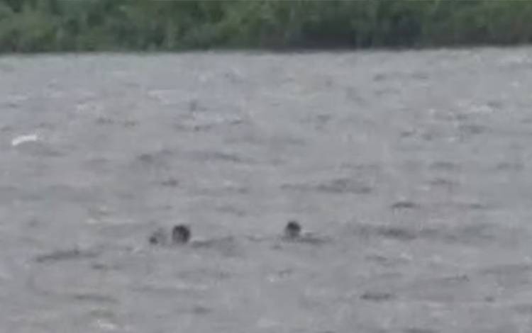 Tiga Pria Ini Nyaris Tewas Tenggelam Setelah Perahu Ces Karam di Tengah Sungai Mentaya?