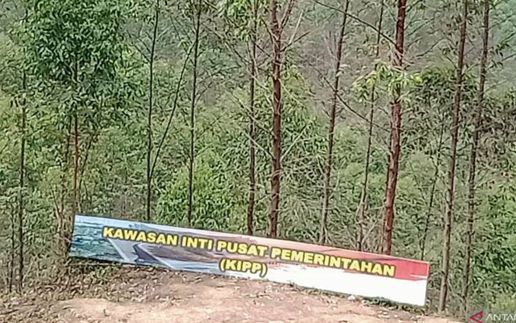 Pemerintah Pusat Siapkan Pusat Layanan Kesehatan Tunjang IKN Nusantara