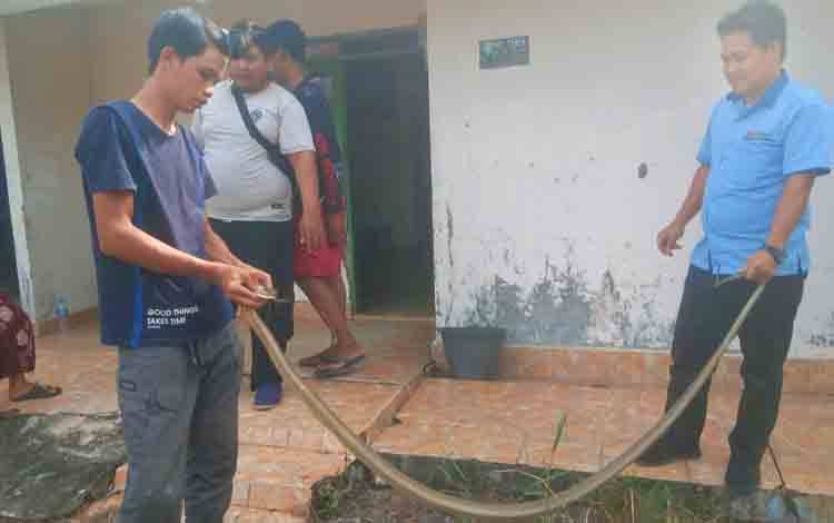 Ular King Kobra Masuk Rumah Warga Jalan Merdeka Palangka Raya