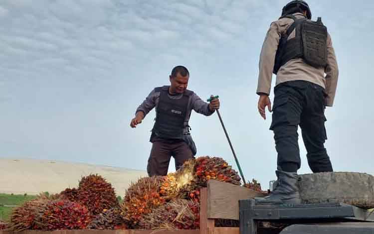 Dua Pelaku Pencurian Buah Sawit Diamankan
