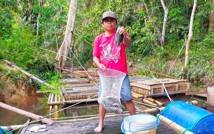 Pemdes Tewah Pupuh Sukses Budidaya Nila dalam Keramba
