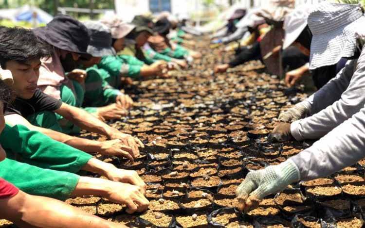 GAPKI: Industri Sawit Paling Banyak Serap Tenaga Kerja