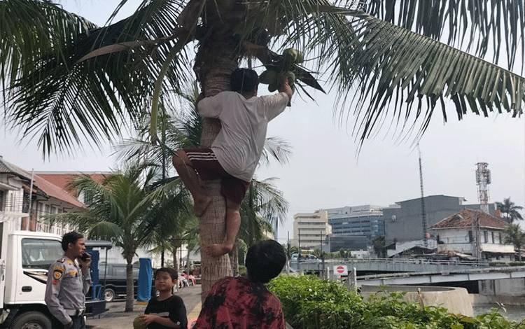 Perjuangan Bocah Pemulung Demi Wewujudkan Cita-cita Jadi Tentara