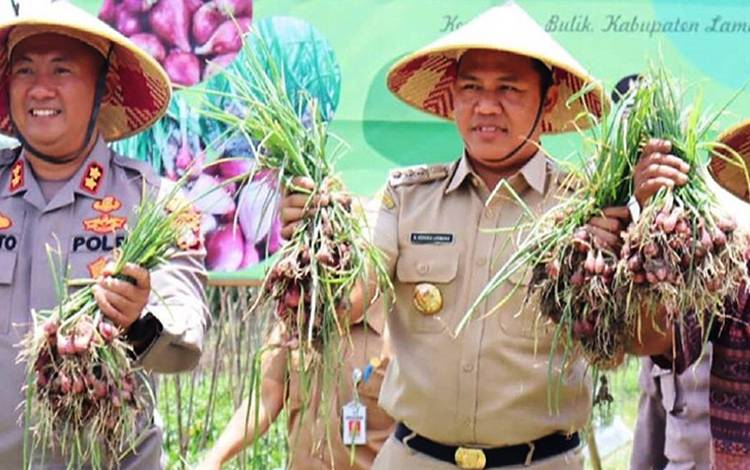 Bupati Lamandau: Ini Langkah Mewujudkan Ketahanan Pangan