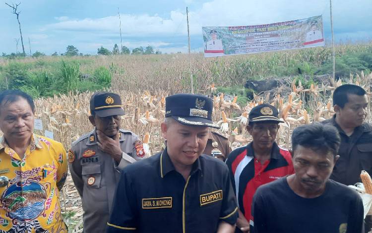 Penyuluh Pertanian Diharapkan Bantu Petani Sukseskan Kegiatan Bercocok Tanam