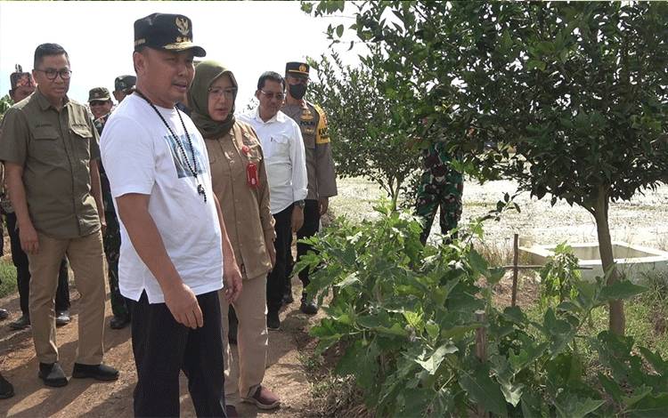Gubernur Nilai Ketahanan Pangan Miliki Peran Penting Bagi Kalteng