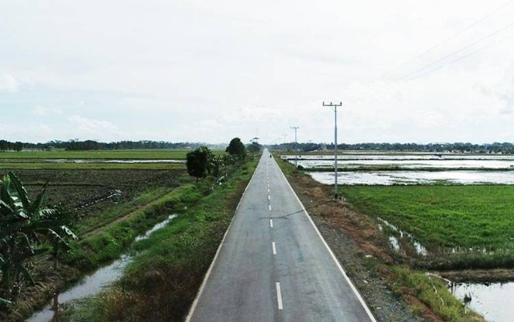 Food Estate di Pulang Pisau Berdampak Positif bagi Masyarakat