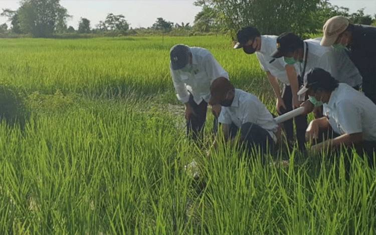 Gubernur Kalteng Apresiasi Keseriusan Kementerian PUPR Amankan Irigasi Food Estate