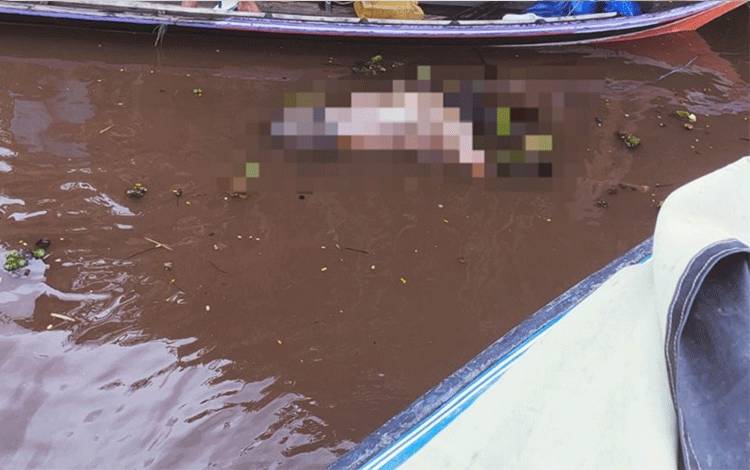 Korban Tenggelam Ditemukan Mengapung Tak Bernyawa di DAS Kapuas