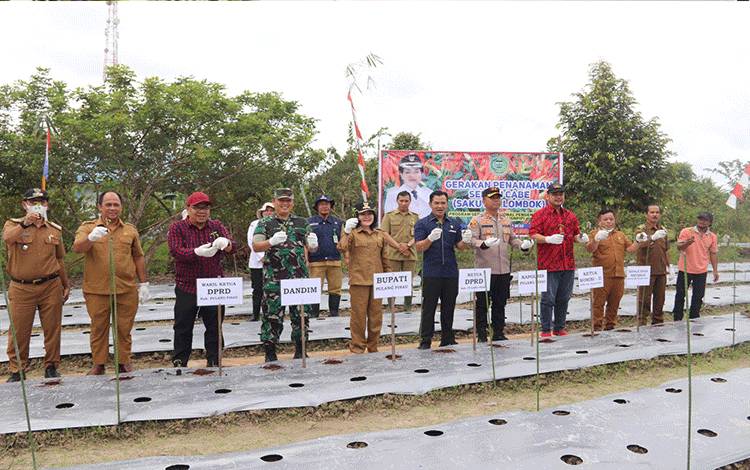 Dukung GNPIP, Pemkab Pulpis Gelar Gerakan Sekuyan Lombok