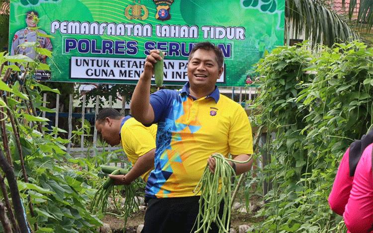 Kapolres dan Bhayangkari Seruyan Panen Sayuran