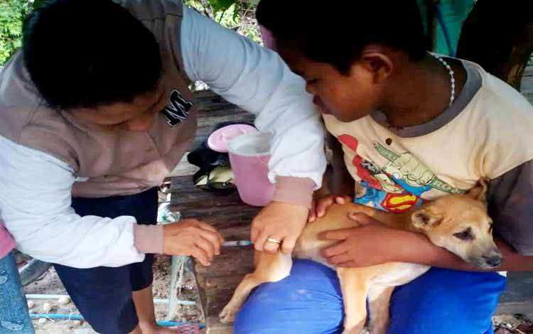 Hewan Peliharaan Warga Diberi Suntikan Vaksin Gratis