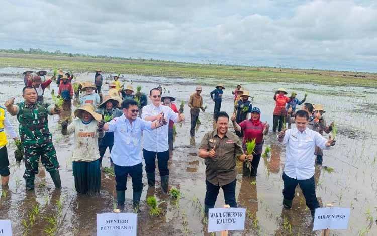Pemerintah Pacu Ekstensifikasi Lahan di Kawasan Lumbung Pangan Kalteng