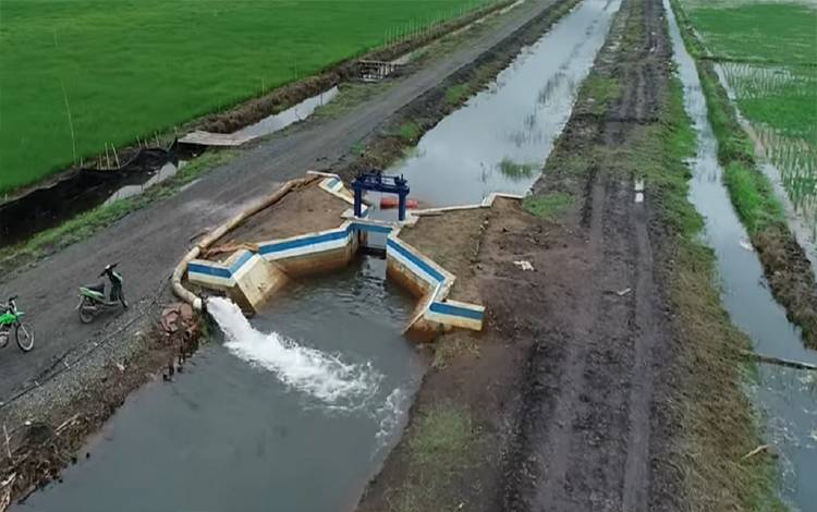 Dorong Perkembangan Food Estate, Pemkab Pulang Pisau Rehabilitasi Irigasi
