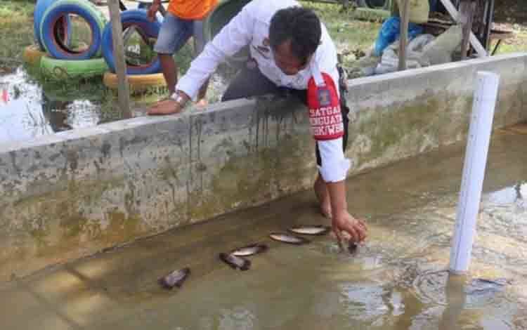 Rutan Kuala Kapuas Coba Budi Daya Ikan Gurame