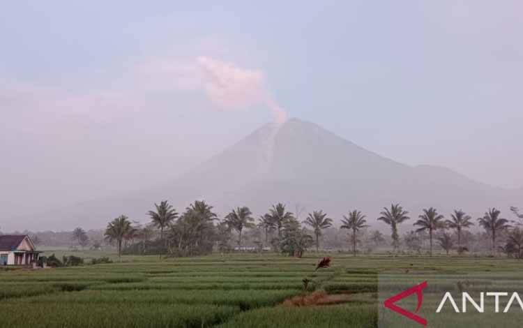 Gunung Semeru Masih Luncurkan Awan Panas Guguran