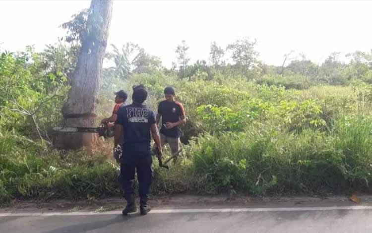 Pohon Akasia Rawan Tumbang di Jalan Karanggan Ditebang Tim 112