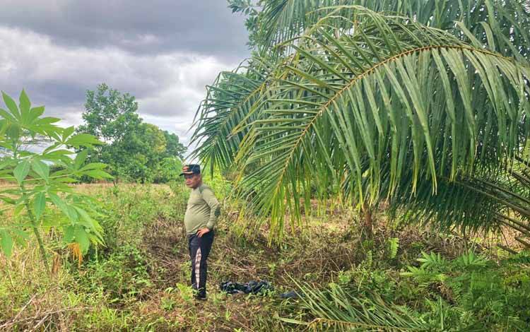 Tanam Tumbuh Dirusak, Warga Lapor ke Polresta Palangka Raya