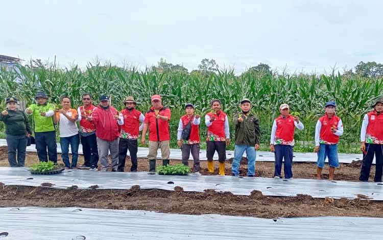 Kadis Ketahanan Pangan Kalteng Tanam Cabai Bersama Duta Petani Milenial Barito Timur