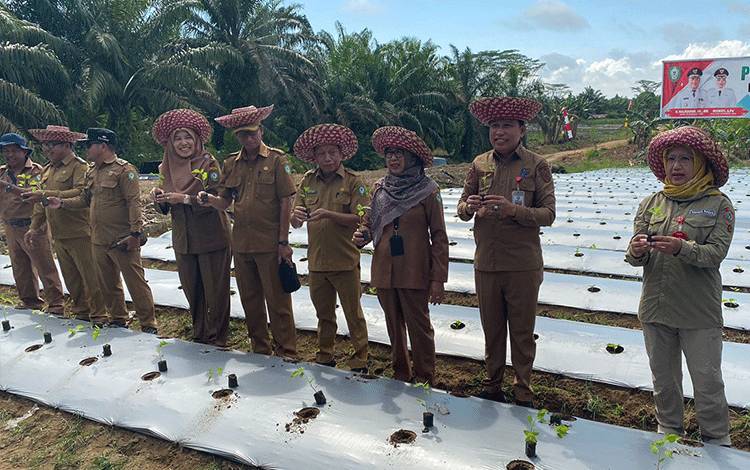 Pemkab Kotim Perkuat Ketahanan Pangan di tiap Kecamatan Antisipasi Resesi