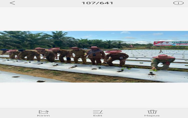 Pengendalian Inflasi dari Sektor Pertanian di Kotim