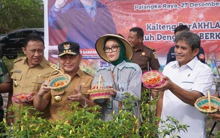 Panen Perdana Gertam Babe, Sugianto Ajak Masyarakat Sadari Pentingnya Pangan Lokal  ?