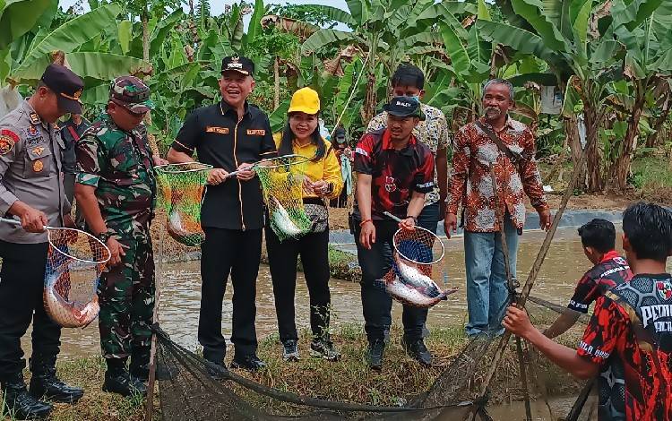 Bupati Ikut Panen Ikan Patin Milik Petani Milenial Sapma PP? Gunung Mas