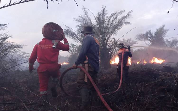 Jelang Tahun Baru 2023, Personel BPBD Kobar Padamkan Kebakaran Lahan
