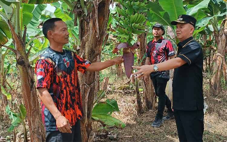 Begini Saran Bupati Gunung Mas kepada Petani dan Pembudidaya Ikan