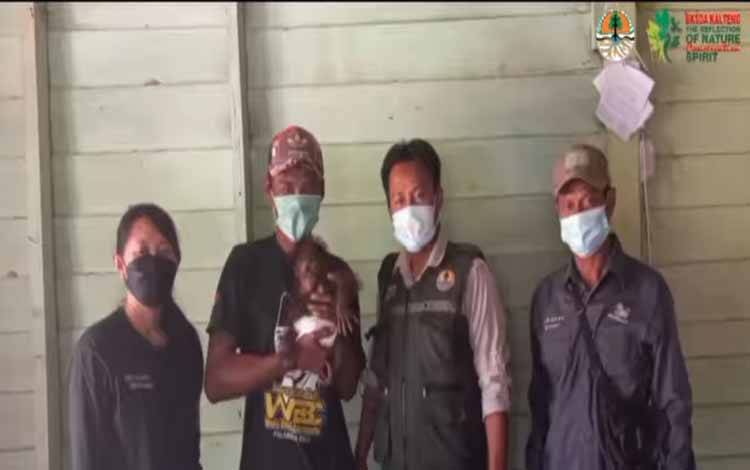 Bayi Orangutan Diselamatkan Pemancing