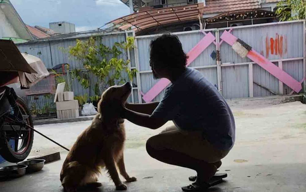 Takut Petasan dan Kembang Api, Banyak Hewan yang Dititipkan ke Jasa Penitipan