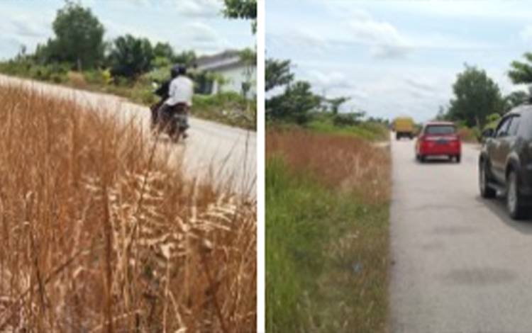 Sejumlah Warga Kasongan Keluhkan Cuaca Panas
