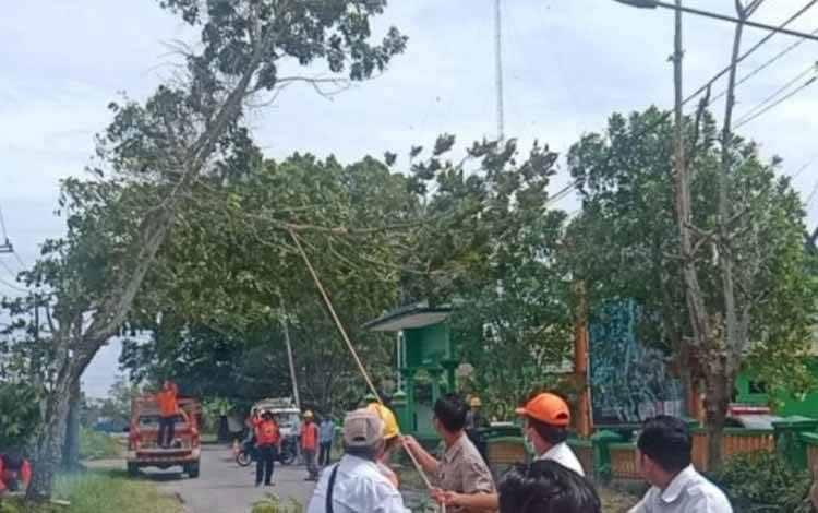 BPBD Kobar Ingatkan Warga Waspada saat Hujan dan Angin Kencang